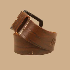 NZA New Zealand Auckland Cave Point bruin