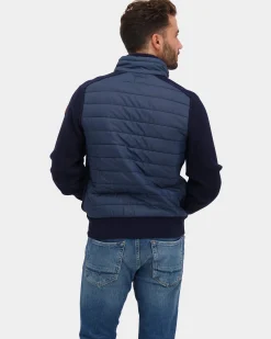 NZA New Zealand Auckland Fish -