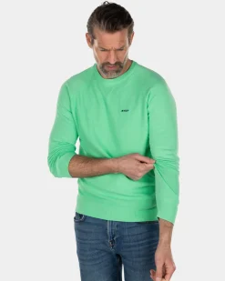 NZA New Zealand Auckland Katoenen trui met ronde hals groen -