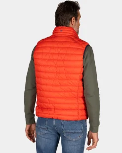 NZA New Zealand Auckland Oranje bodywarmer