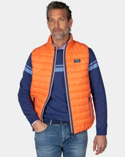 NZA New Zealand Auckland Oranje bodywarmer