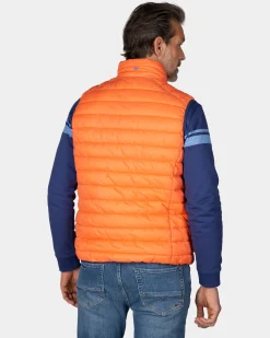 NZA New Zealand Auckland Oranje bodywarmer