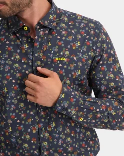 NZA New Zealand Auckland Whalehole -